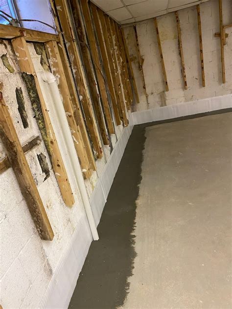 maryland mold and waterproofing reviews